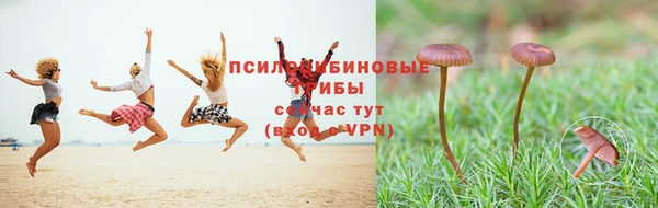 амф Балабаново