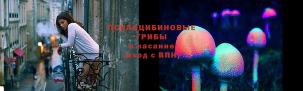 твердый Балахна