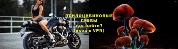 a pvp Аркадак