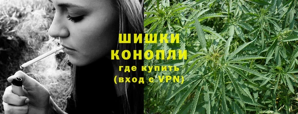трава Армянск